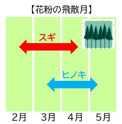 初期療法